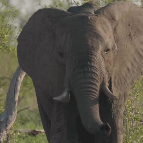 Video post from taucktravel.