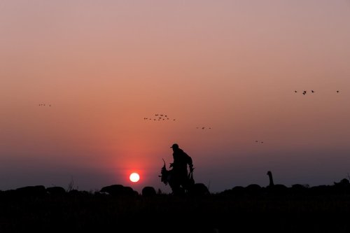 Photo post from northernskiesoutfitters.