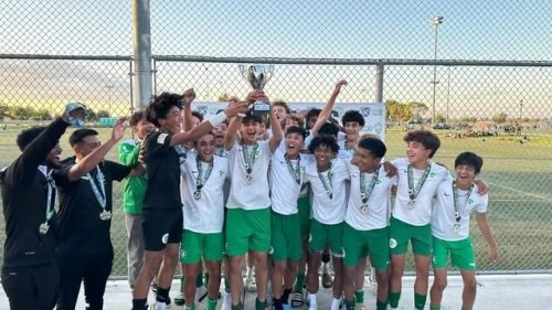 Video post from sfglensacademy.
