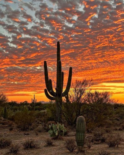 Photo post from visittucson.