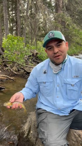 Video post from nwfoutdoors.