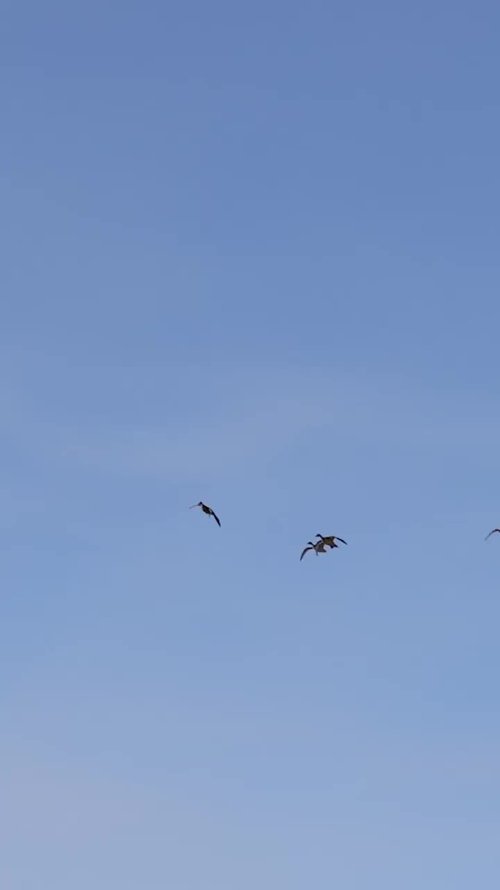 Video post from northernskiesoutfitters.