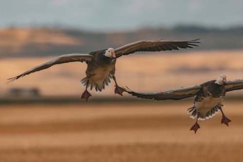 Photo post from northernskiesoutfitters.