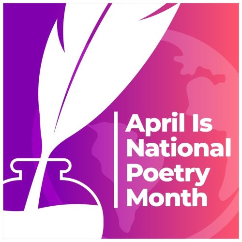 Carousel post from knovva_academy.