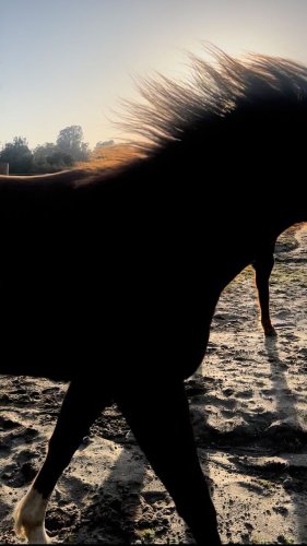 Video post from __amber_lydic__.