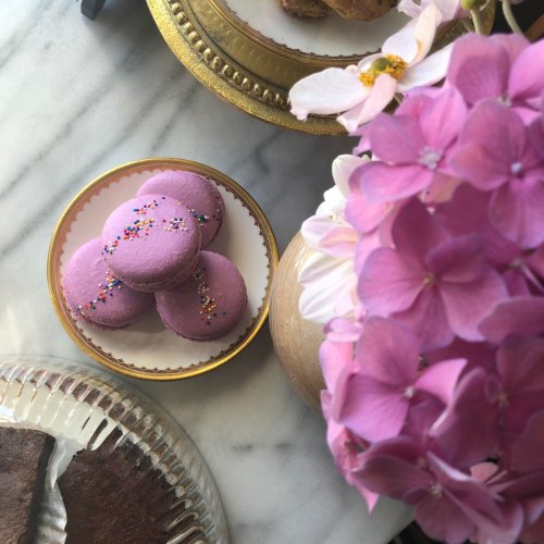 Photo post from equianocoffee.