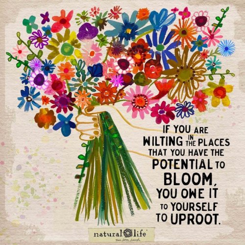 Photo post from jlythcotthaims.