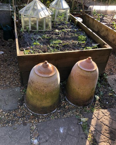 Photo post from gardenhousebrighton.