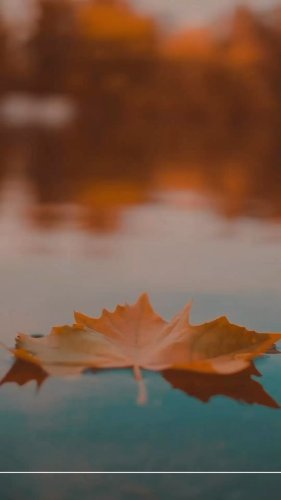 Video post from sylvanali.reiki.andbeyond.
