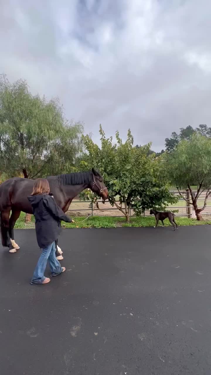 Video post from __amber_lydic__.