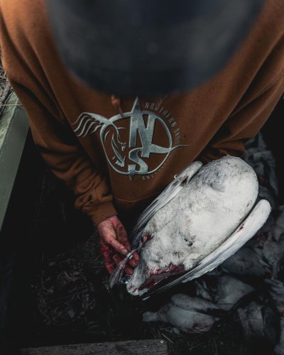 Photo post from northernskiesoutfitters.