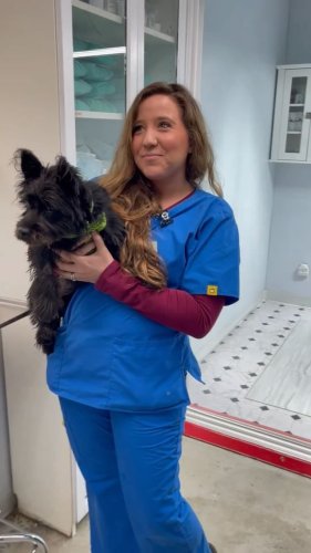 Video post from familyanimalhospitalcm.