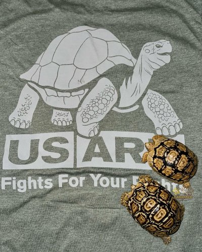 Photo post from carapacecritters.