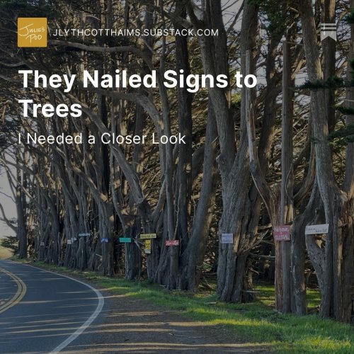 Photo post from jlythcotthaims.