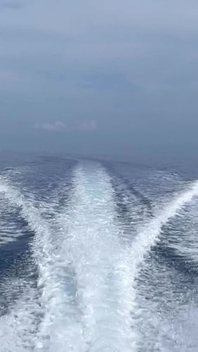 Video post from ejs_fishing_charters.