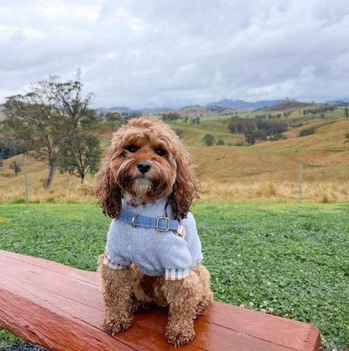Photo post from in2thewild.aus.
