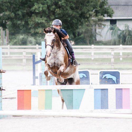 Carousel post from fei_global.