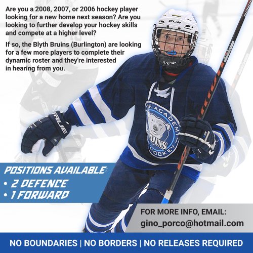 Photo post from orhlhockey.