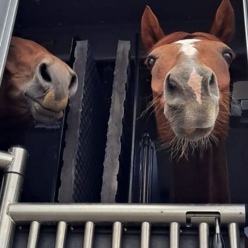 Carousel post from fei_global.