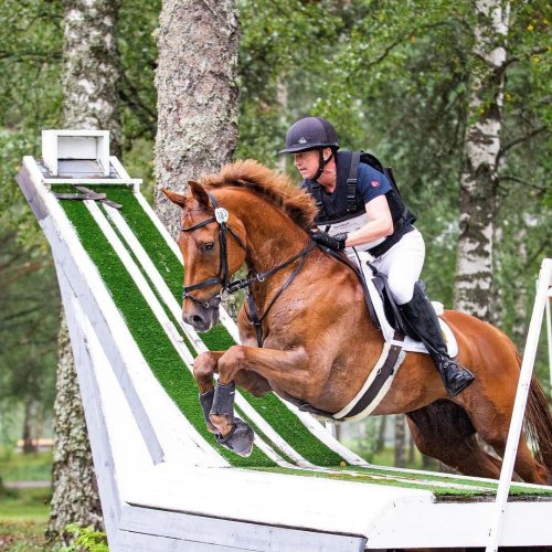 Carousel post from fei_global.