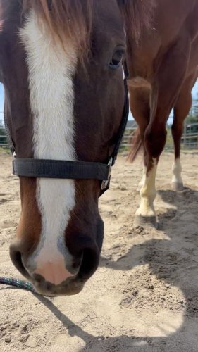 Video post from __amber_lydic__.