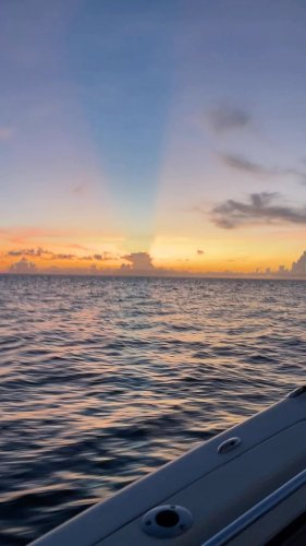 Video post from ejs_fishing_charters.