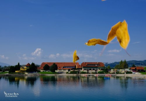 Photo post from freizeitanlage.