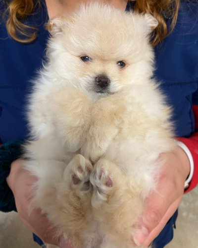 Carousel post from familyanimalhospitalcm.