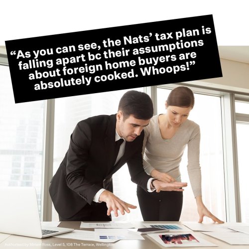 Photo post from nzgreenparty.