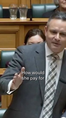 Video post from nzgreenparty.