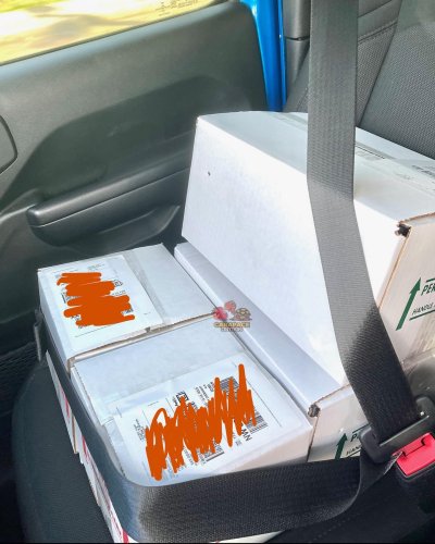 Photo post from carapacecritters.