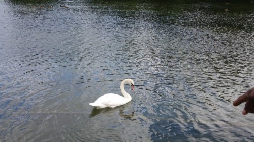 Photo post from kasarstays.