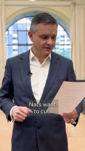 Video post from nzgreenparty.