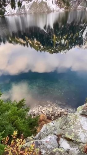 Video post from briiv.natural.