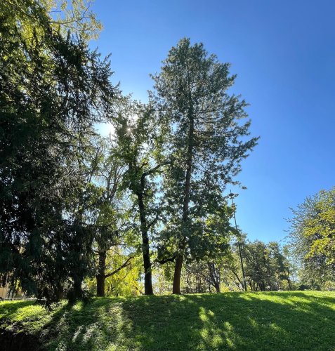 Photo post from camillaripani.