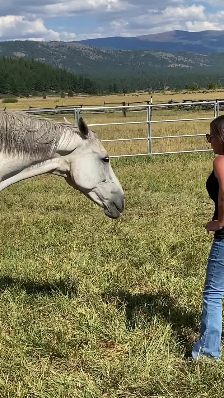 Video post from __amber_lydic__.