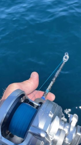 Video post from ejs_fishing_charters.