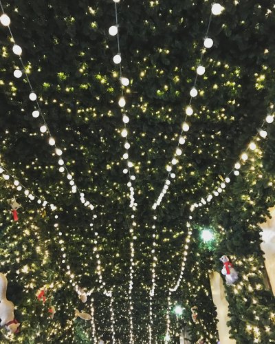 Photo post from nydreamer7.