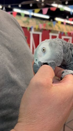 Video post from njexoticpets.