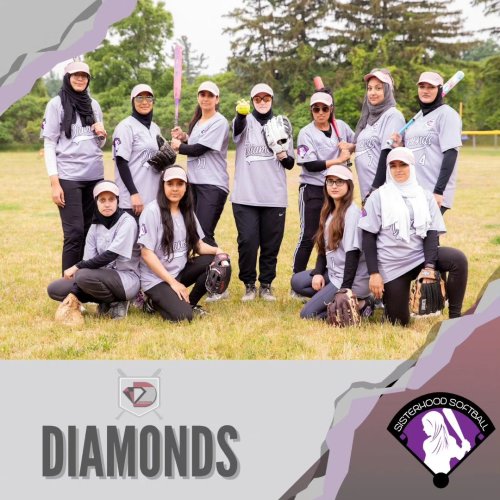 Carousel post from sisterhoodsoftball.