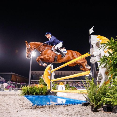 Carousel post from fei_global.