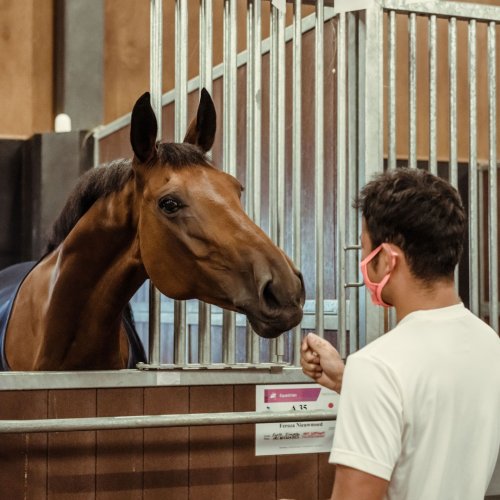 Carousel post from fei_global.