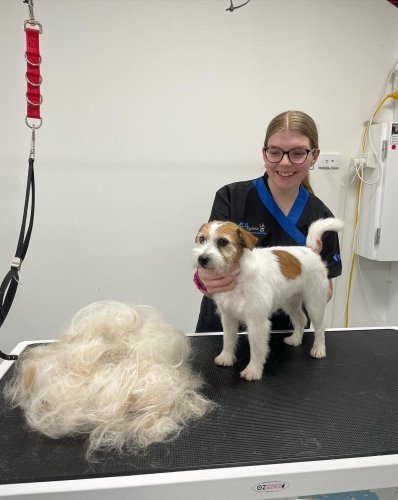 Carousel post from k9playtimedoggydaycare.