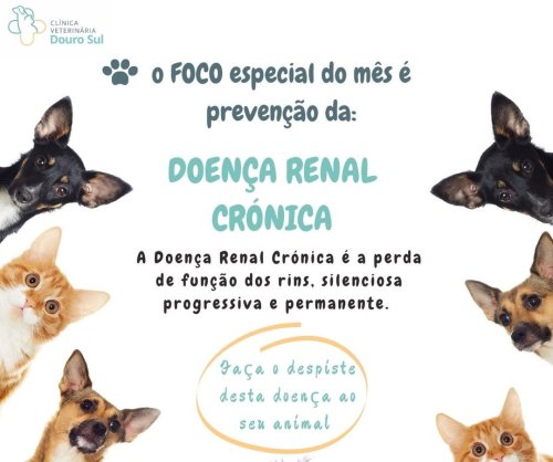 Photo post from clinica_veterinaria_dourosul.