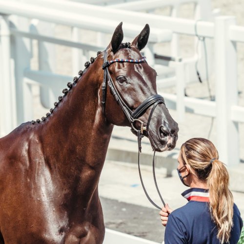 Photo post from fei_global.