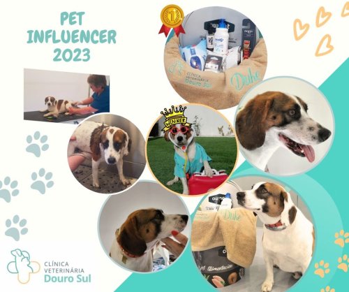 Photo post from clinica_veterinaria_dourosul.