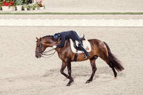 Carousel post from fei_global.