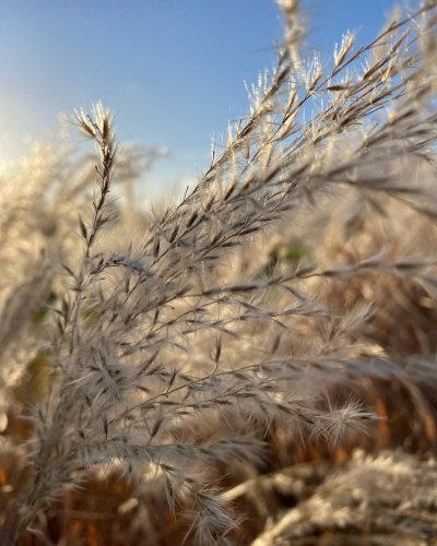 Photo post from sussexprairies.