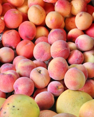 Carousel post from currumbinvalleyharvest.