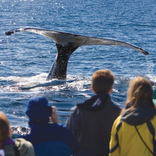 Photo post from taucktravel.